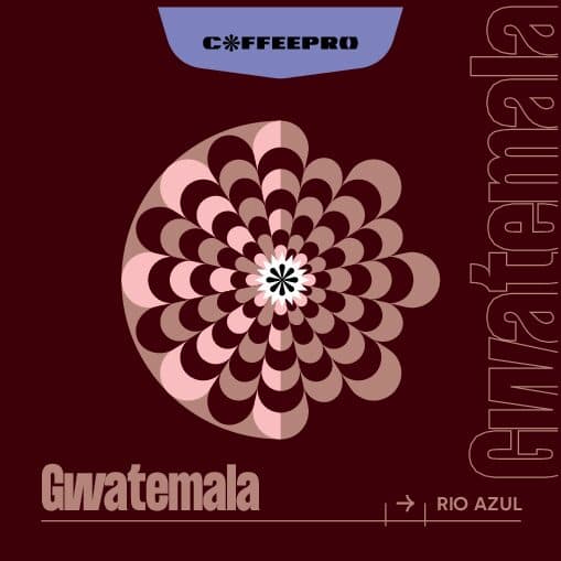 Gwatemala Rio Azul - kawa od CoffeePRO