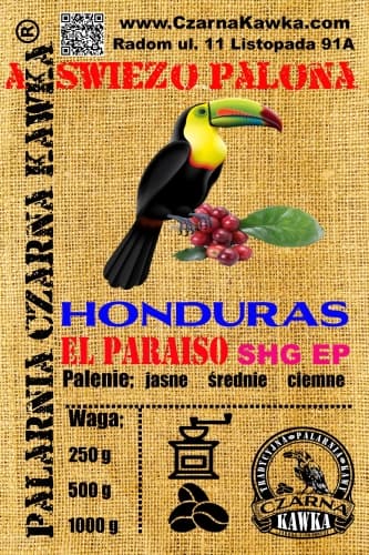 Honduras El Paraiso SHG EP - kawa od Czarna Kawka, Honduras