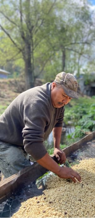 Gwatemala Jose Lima - kawa od Good Coffee, Gwatemala