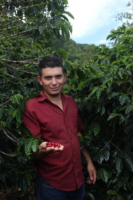 Honduras Yeltsin Sagastume - kawa od Good Coffee, Honduras