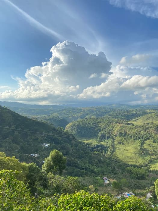 Kolumbia Milton Ortega - kawa od Good Coffee, Kolumbia