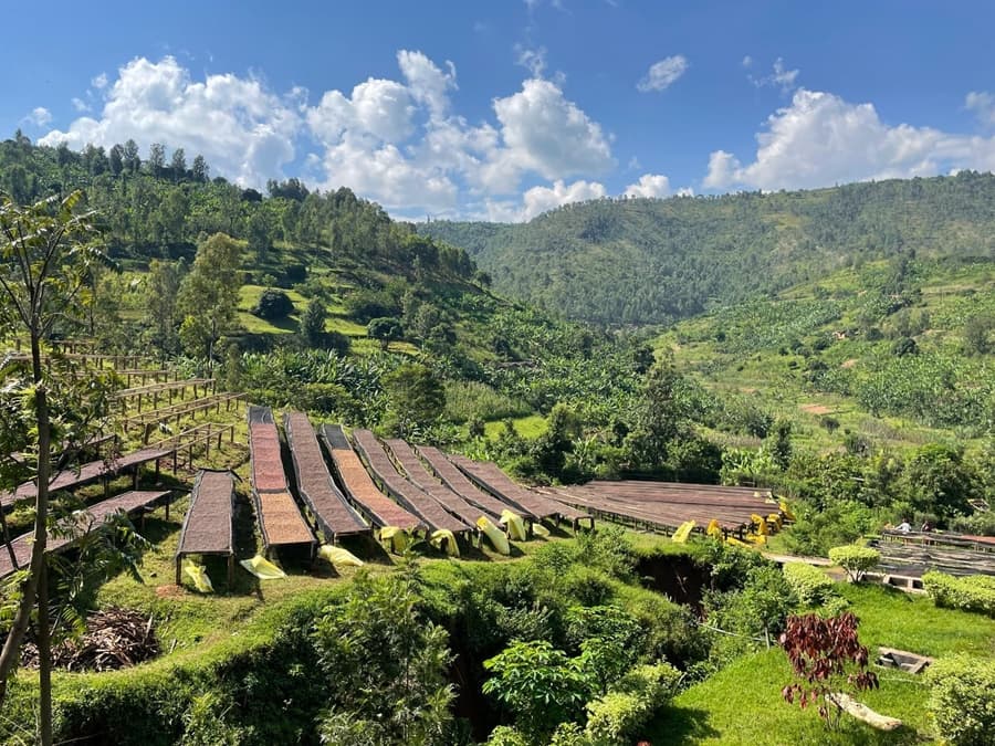 Rwanda Bumbogo - kawa od Good Coffee, Rwanda