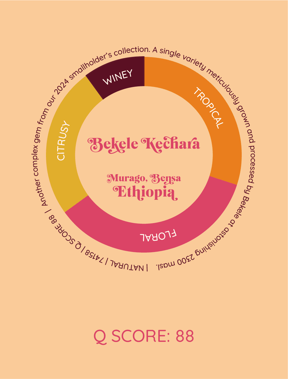 Bekele Kechara | Etiopia - kawa od HERESY, Etiopia
