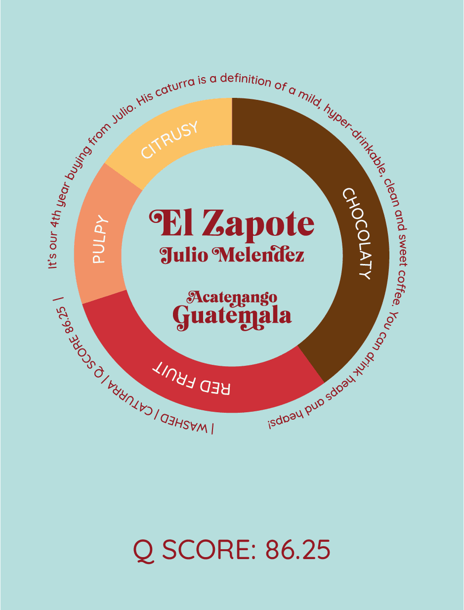 El Zapote | Gwatemala - kawa od HERESY, Gwatemala