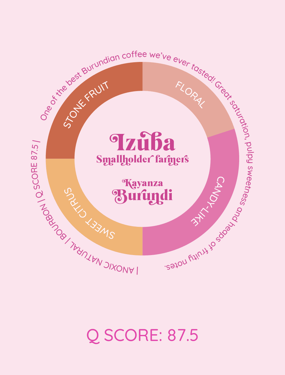 Izuba | Burundi - kawa od HERESY, Burundi