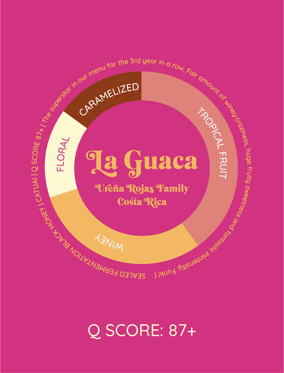 La Guaca | Kostaryka - kawa od HERESY, Kostaryka