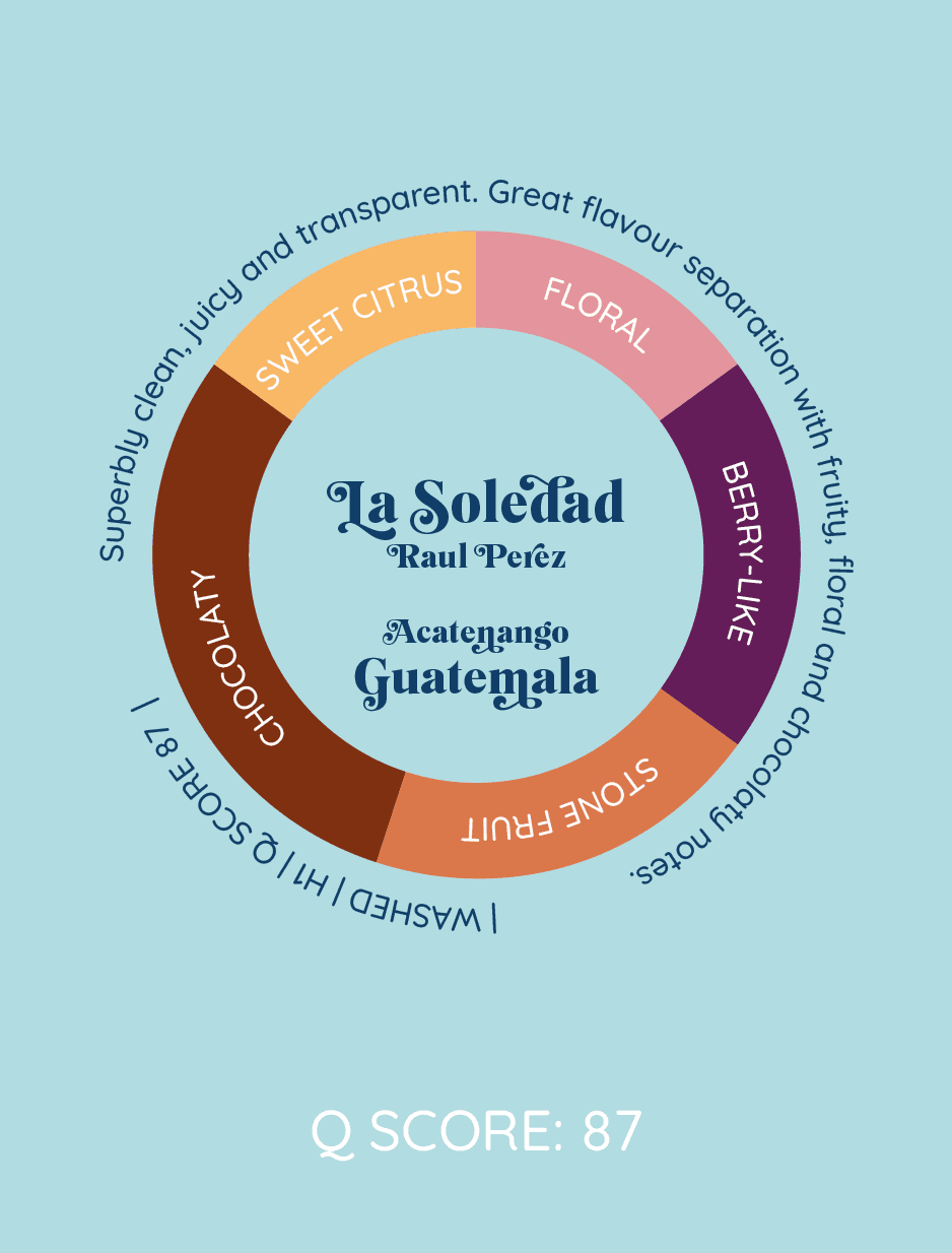 La Soledad | Gwatemala - kawa od HERESY, Gwatemala