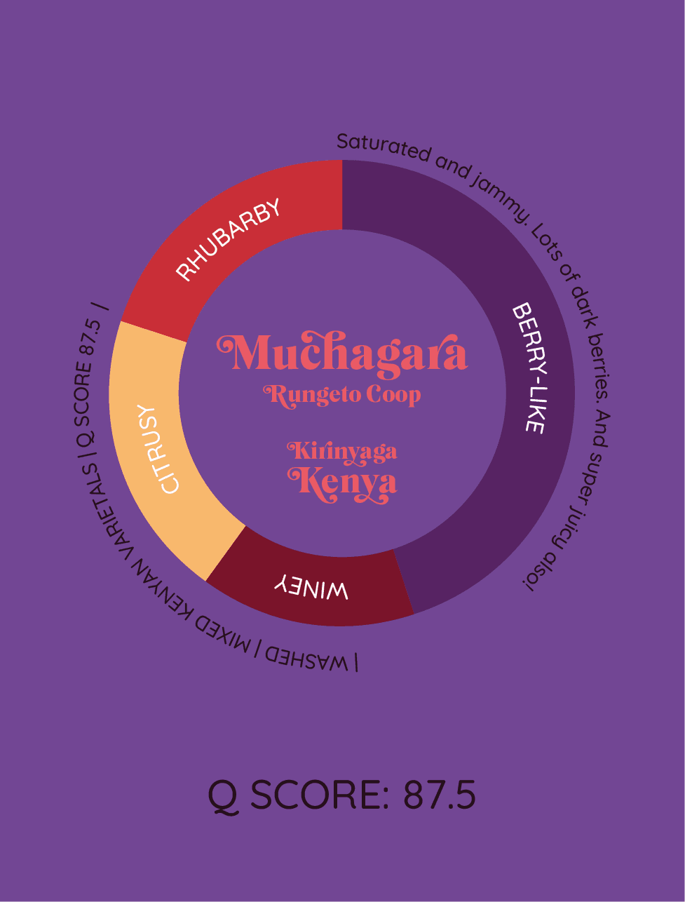 Muchagara AA | Kenia - kawa od HERESY, Kenia