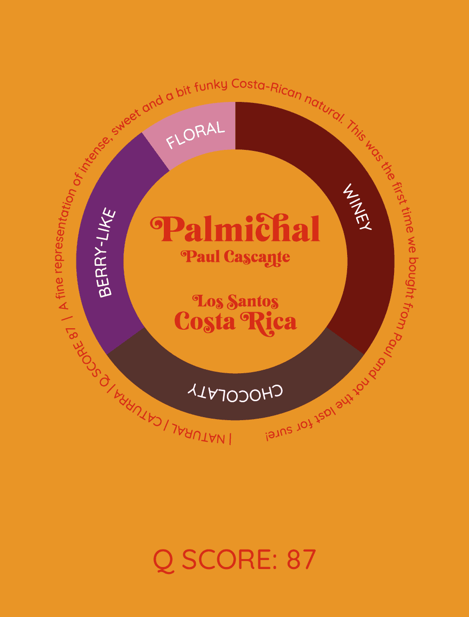 Palmichal | Kostaryka - kawa od HERESY, Kostaryka