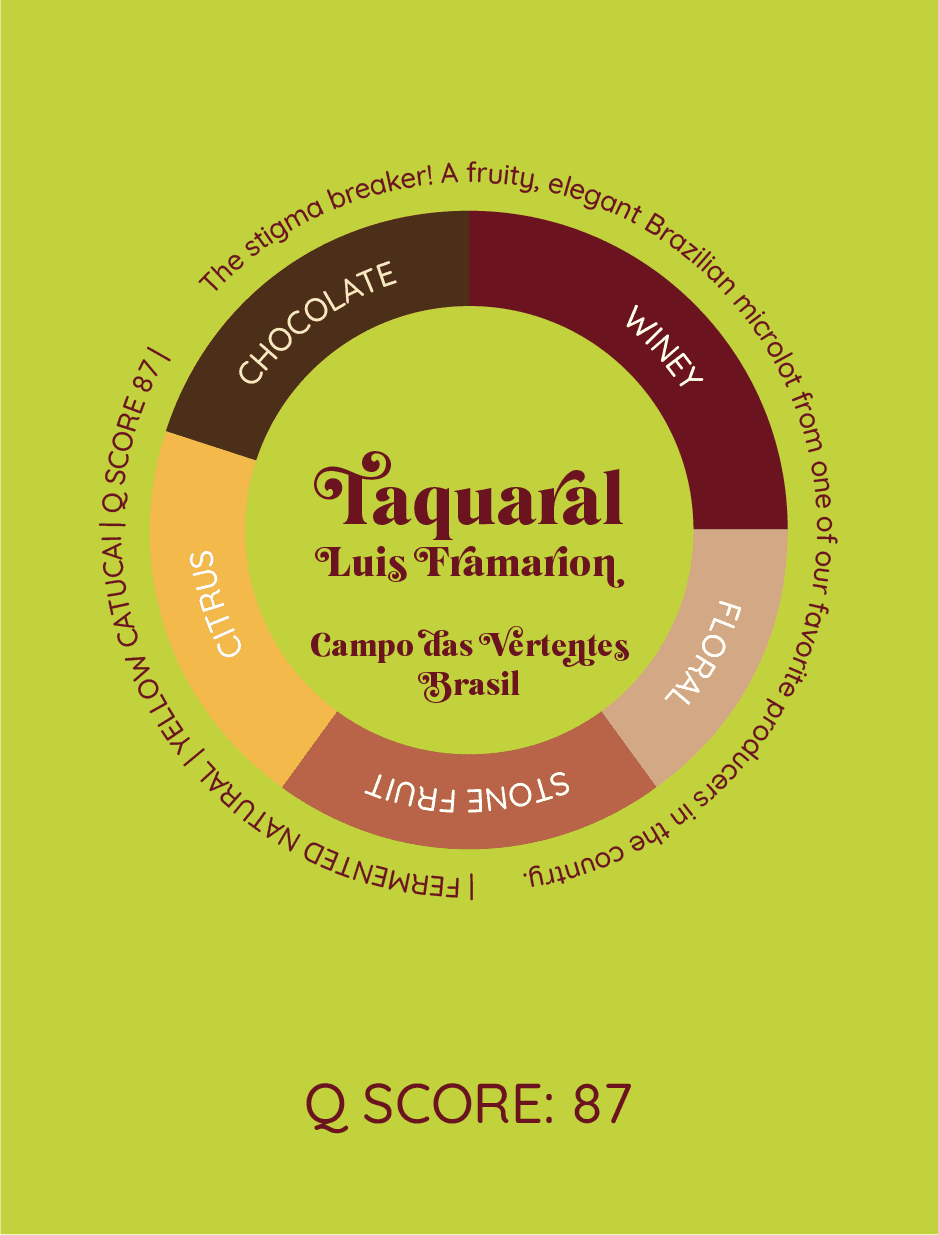 Taquaral | Brazylia - kawa od HERESY, Brazylia