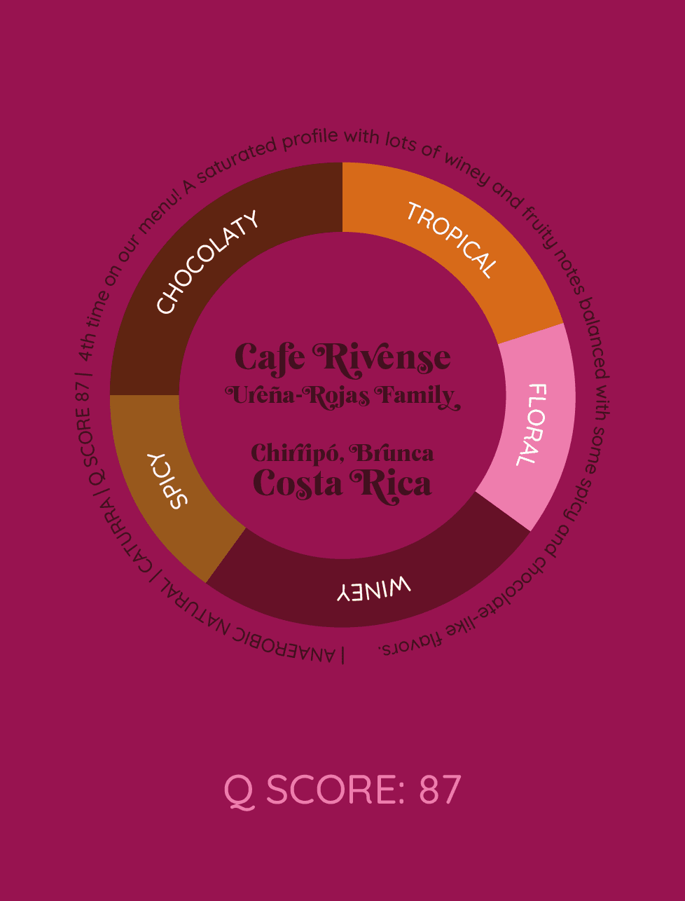 Vista al Chirripo | Kostaryka - kawa od HERESY, Kostaryka