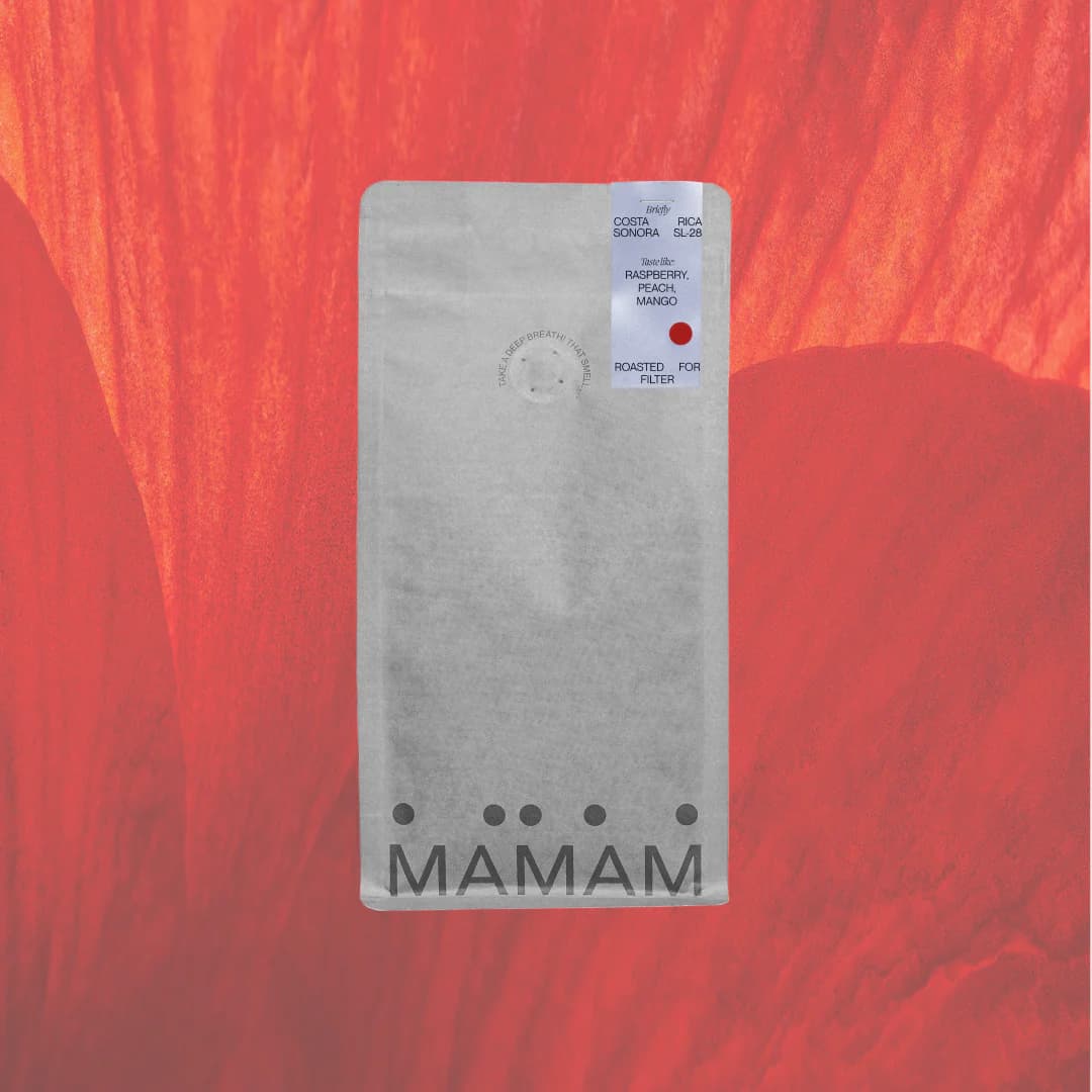 COSTA RICA HACIENDA SONORA SL-28 - kawa od Mamam Coffee, Kostaryka