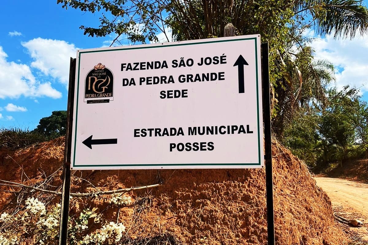 Brazylia Fazenda Pedra Grande Pulped - kawa od Mastro Antonio, Brazylia