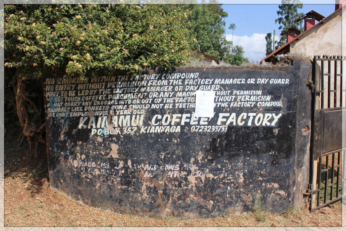 Kenia Kirinyaga Kainamui AB - kawa od Mastro Antonio, Kenia