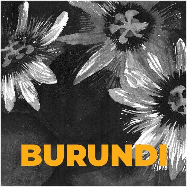 z Burundi – BURUNDI burunga - kawa od Palarnia Meksyk, Burundi