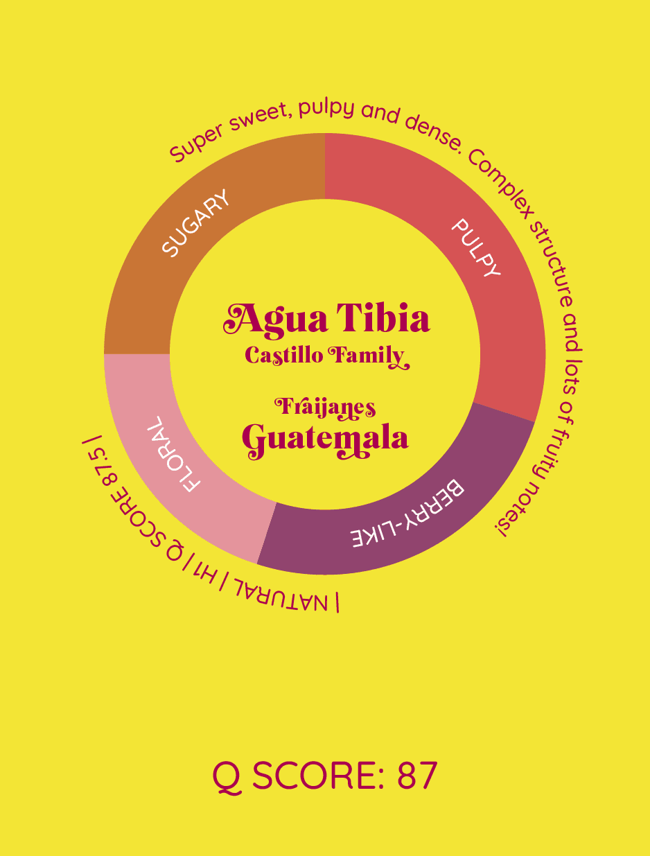 Agua Tibia | Gwatemala - kawa od HERESY, Gwatemala