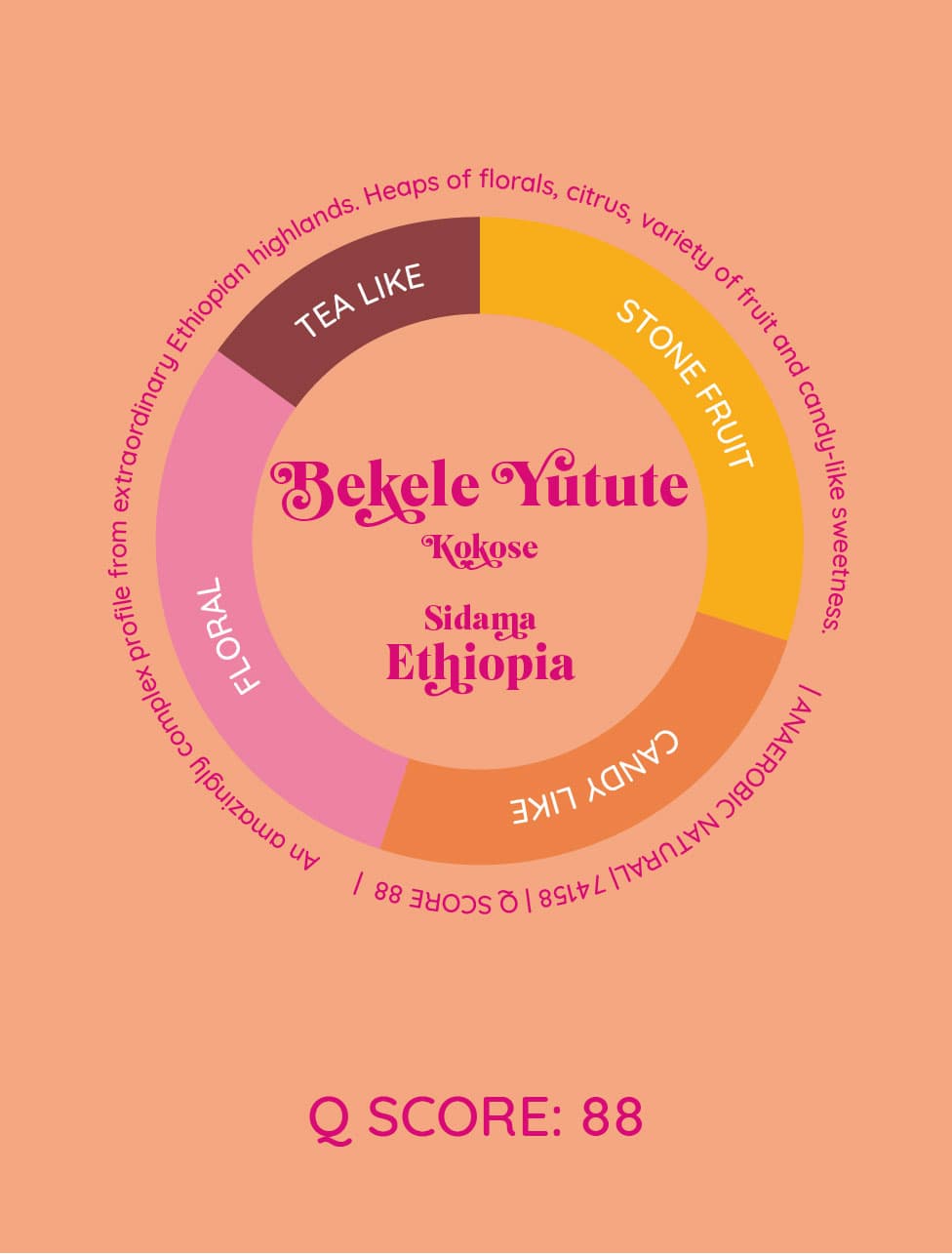 Bekele Yutute | Etiopia - kawa od HERESY, Etiopia