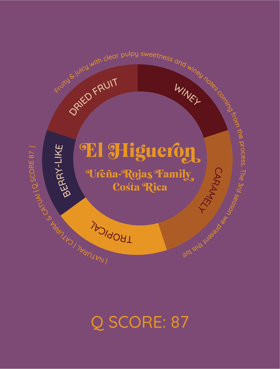 El Higueron | Kostaryka - kawa od HERESY, Kostaryka