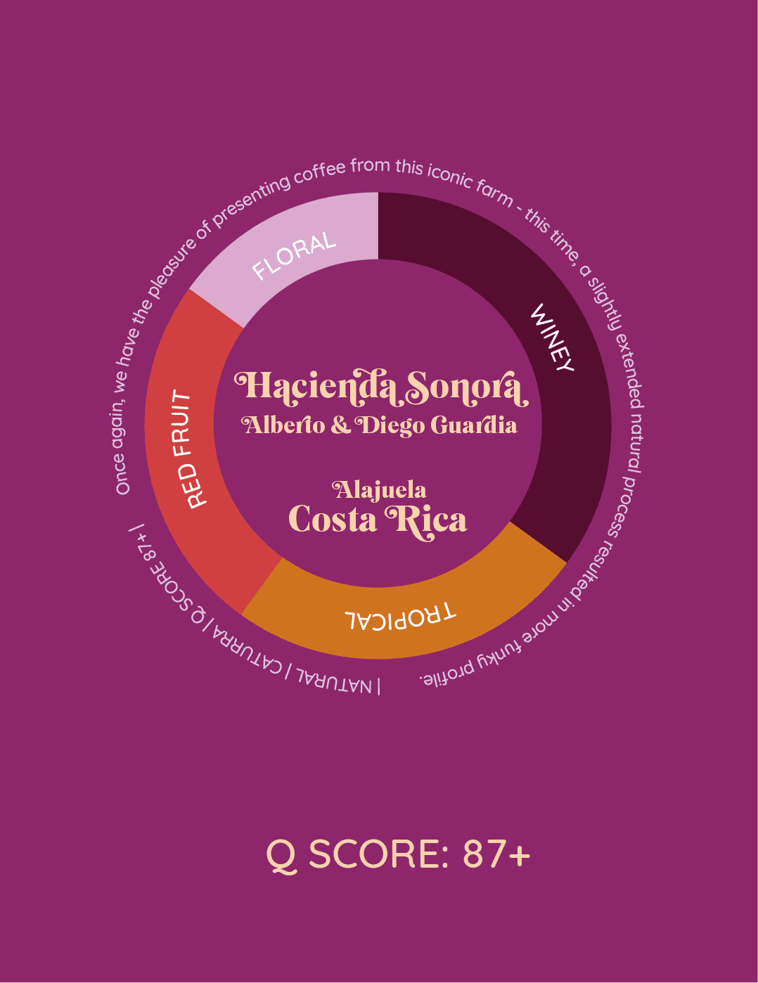 Hacienda Sonora | Kostaryka - kawa od HERESY, Kostaryka