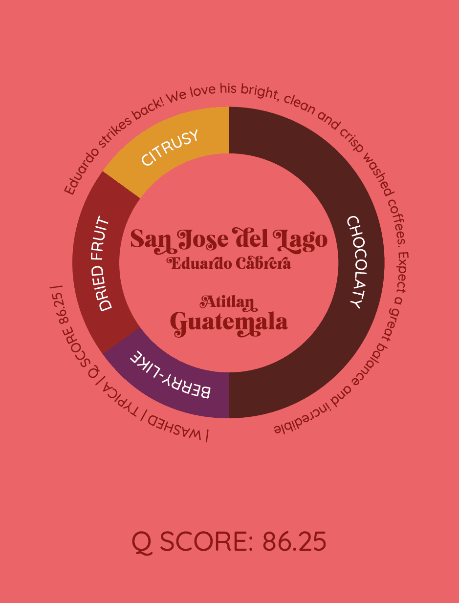 San Jose del Lago | Gwatemala - kawa od HERESY, Gwatemala