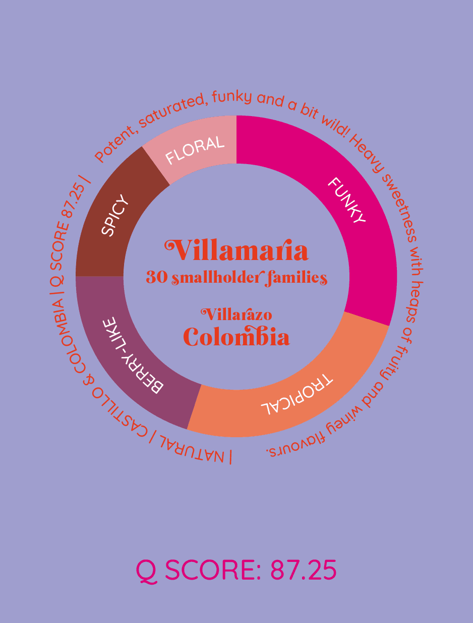 Villamaria | Kolumbia - kawa od HERESY, Kolumbia