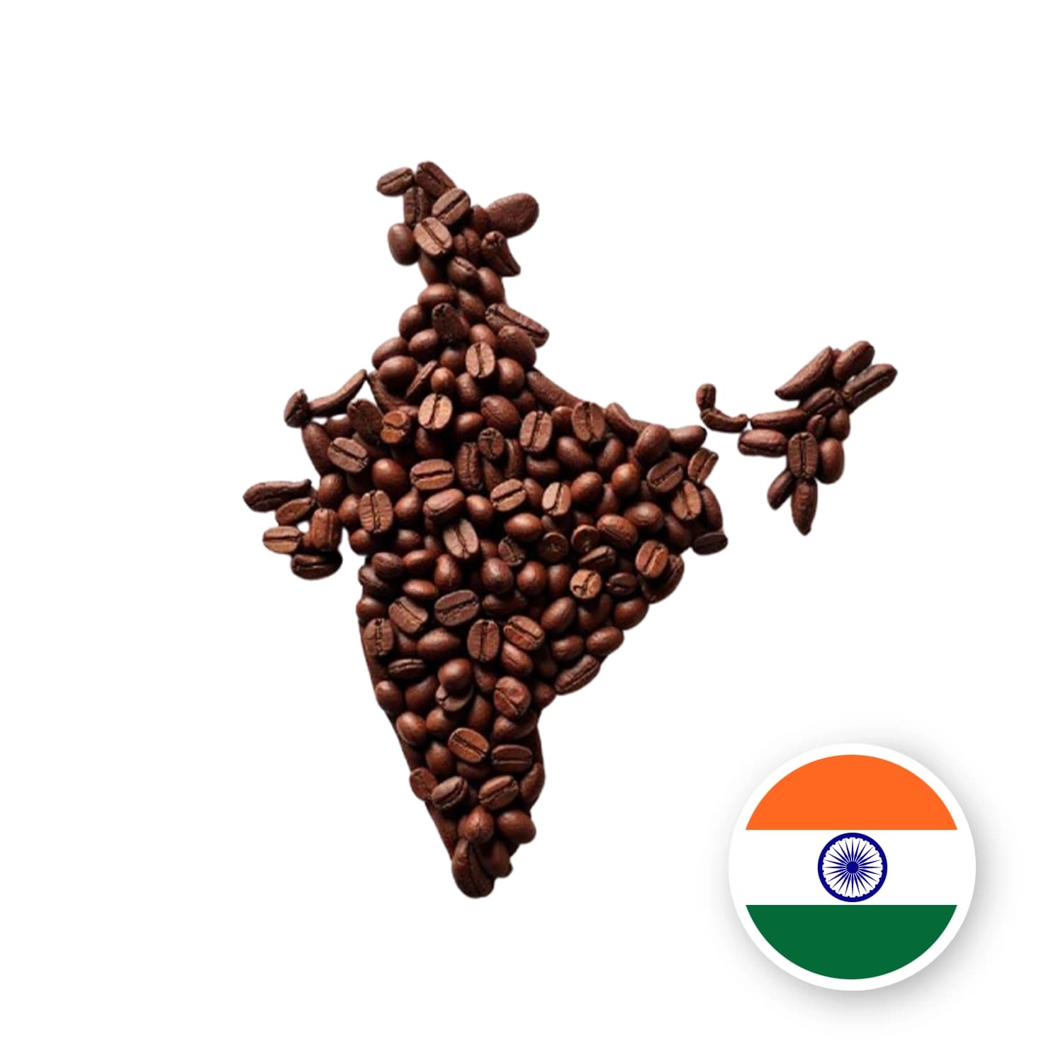 INDIE MALABAR AA - kawa od Krakowska Palarnia Kawy, Indie