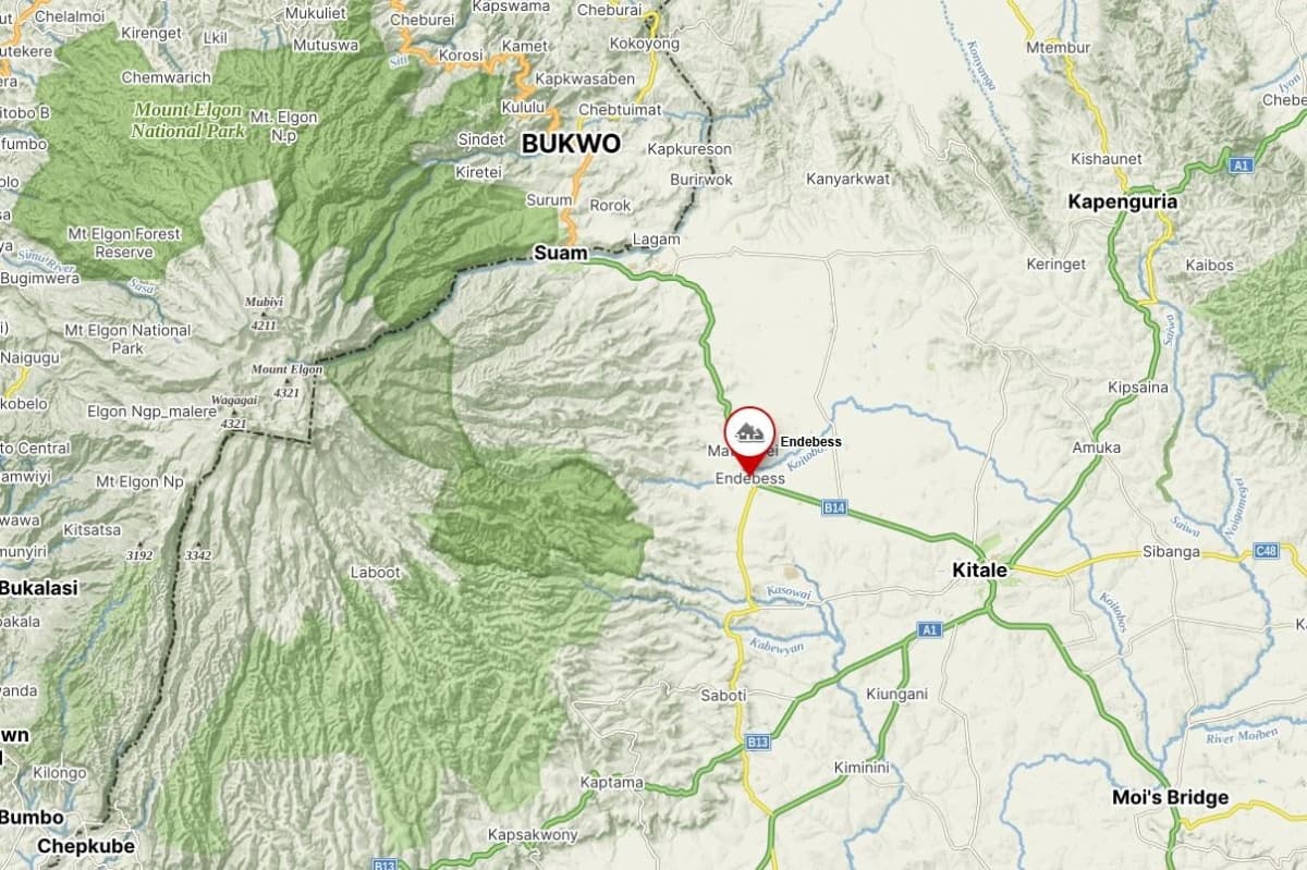 Kenia Mt. Elgon ENDEBESS - kawa od Mastro Antonio, Kenia