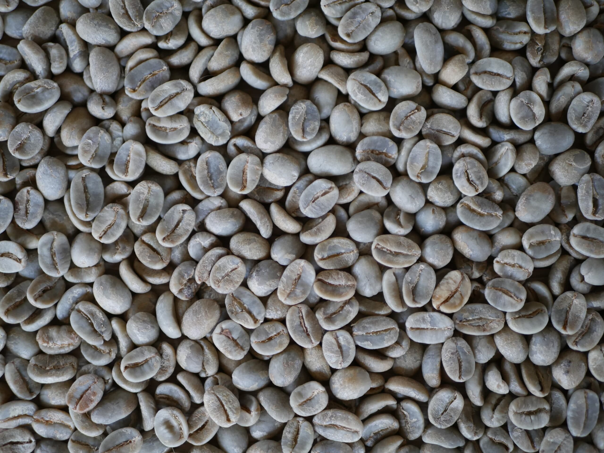 India Plantation - kawa od Palarnia Meksyk, Meksyk