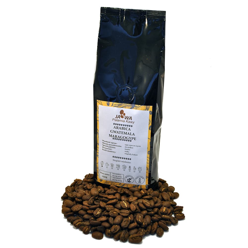 Gwatemala Maragogype - kawa od Palarnia Kawy Jawa, Gwatemala