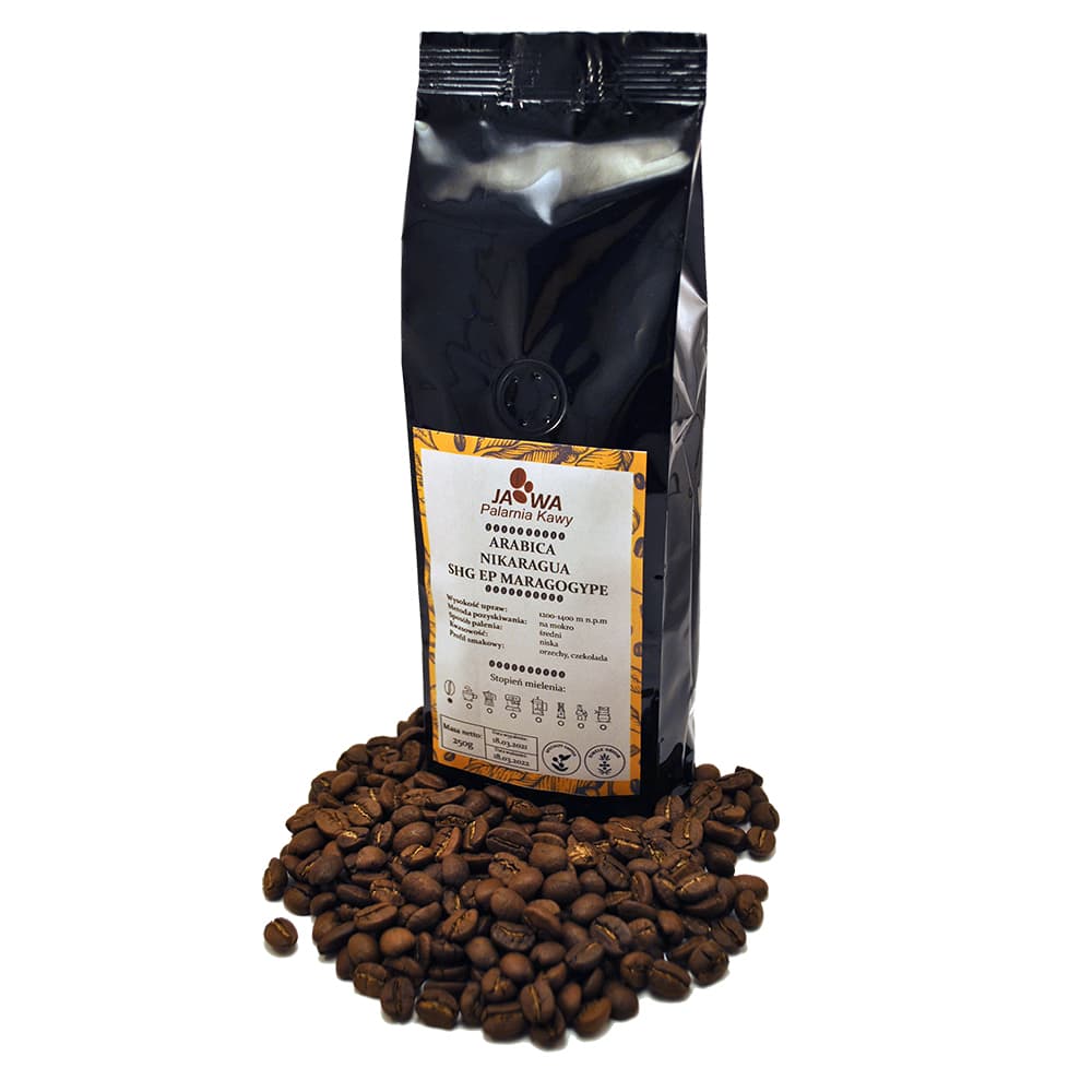 Nikaragua SHG EP Maragogype - kawa od Palarnia Kawy Jawa, Nikaragua
