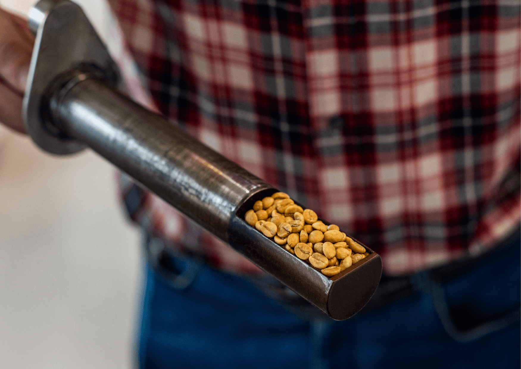 Punktacja SCA jako miara jakości ziarna w kawie - kawa od Tattoo Coffee, Kostaryka